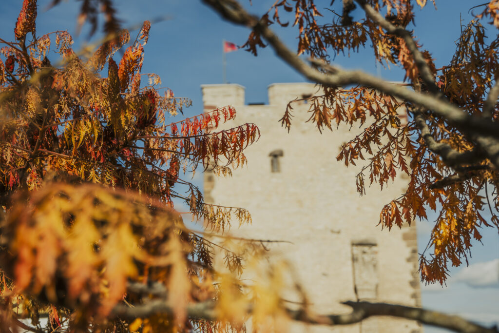 Töltse az őszi szünetet a Kinizsi Várban! Október 23. és november 2. között 20% kedvezménnyel fedezze fel a várat!